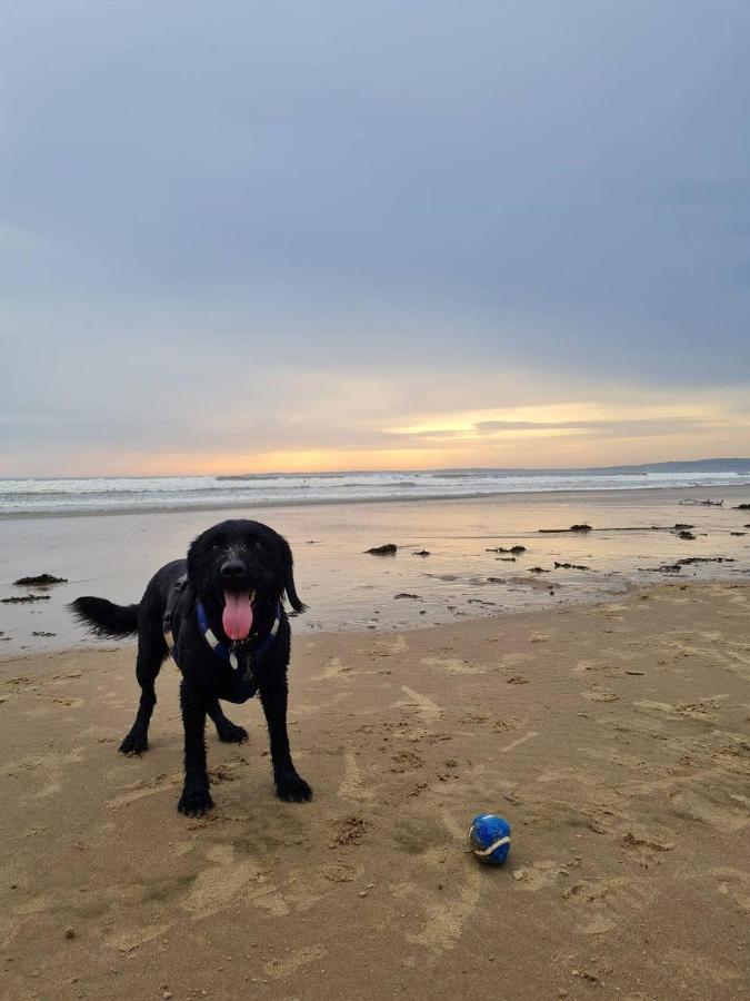 Old Road Cottage Pet Friendly Outdoors Beaches Neath Exterior photo